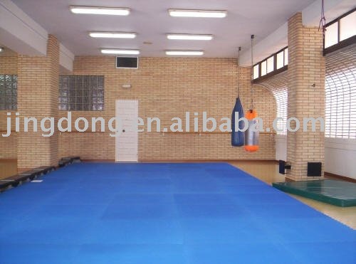 Taekwondo mat/puzzle mat/martial arts mat/aikido