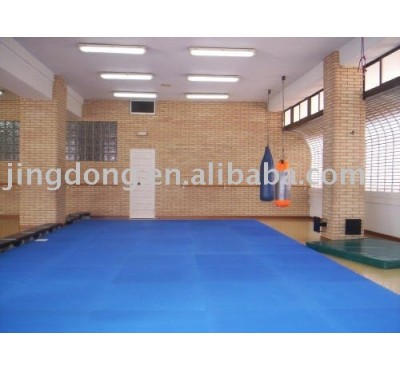 Taekwondo mat/puzzle mat/martial arts mat/aikido